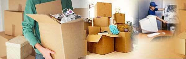 Movers in Houston and Dallas